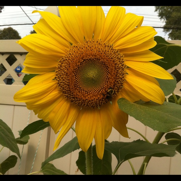 3DeeCloset - Picture 5 of 9